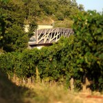 Permalink to Kozlovići predstavili novu state of art vinariju