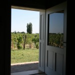 Permalink to Vinarija Tonković