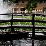 Permalink to Restoran Pikol