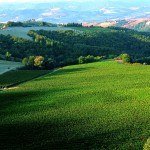 Permalink to Umbrija