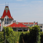 Permalink to Galerija boje vina