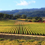 Permalink to Napa Valley