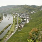 Permalink to Mozel