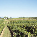 Permalink to Languedoc-Roussillon
