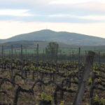 Permalink to U poseti – Tokaj