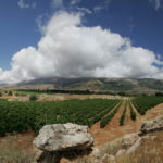 Permalink to Liban