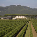 Permalink to Bolgheri