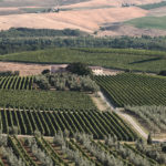 Permalink to Il Poggione