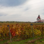 Permalink to Vinarija Zvonko Bogdan